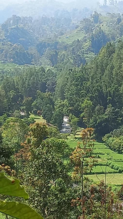 Mountain Ecolodge Malang Esterno foto